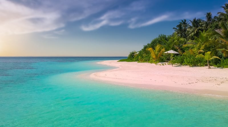 Tropical Paradise